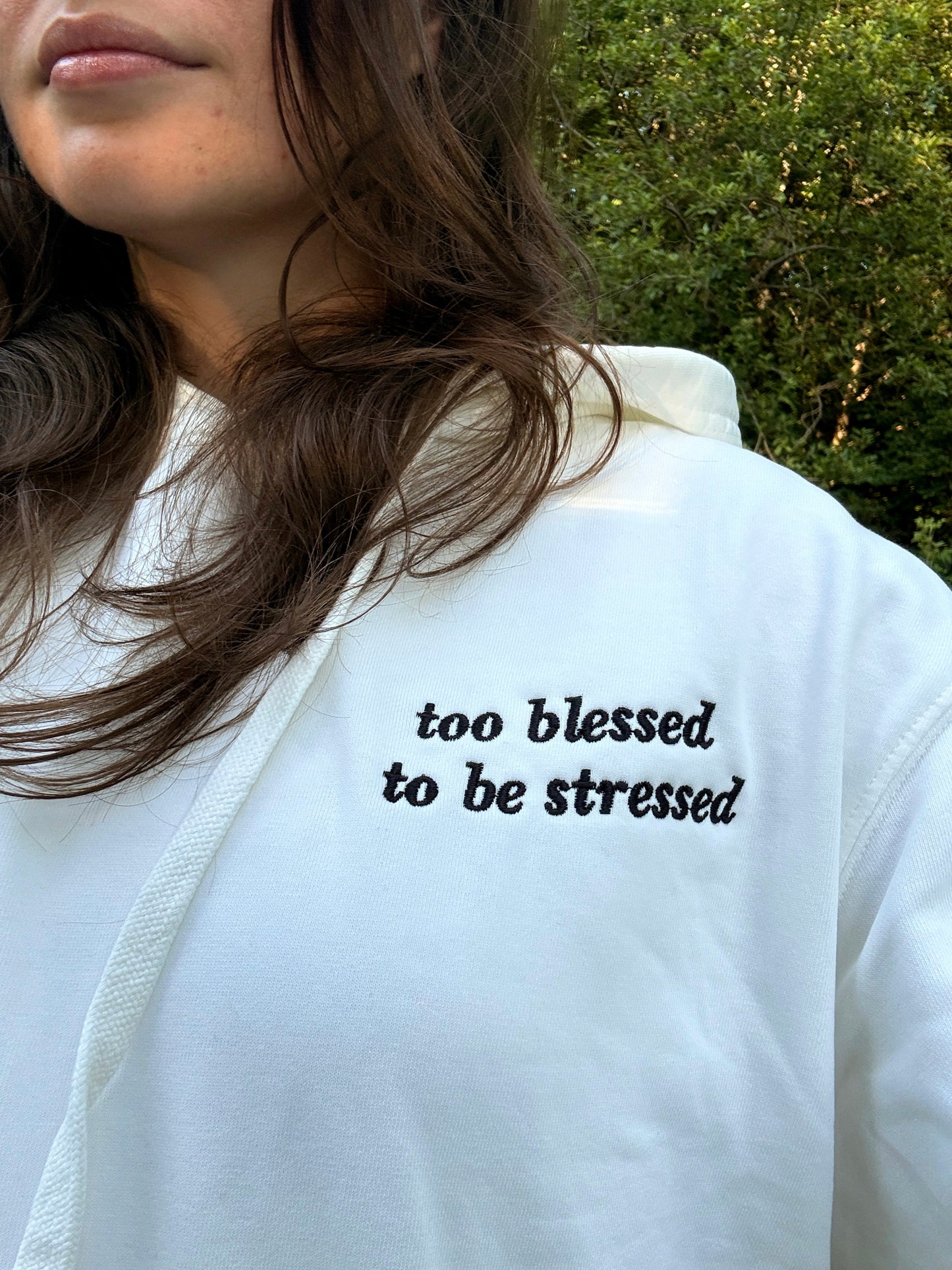 Too Blessed To be Stressed Hoodie