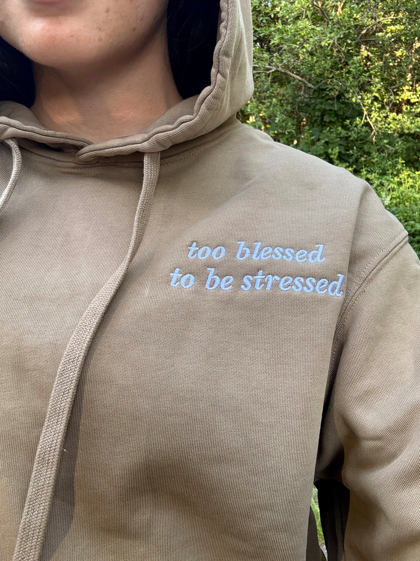 Too Blessed To be Stressed Hoodie