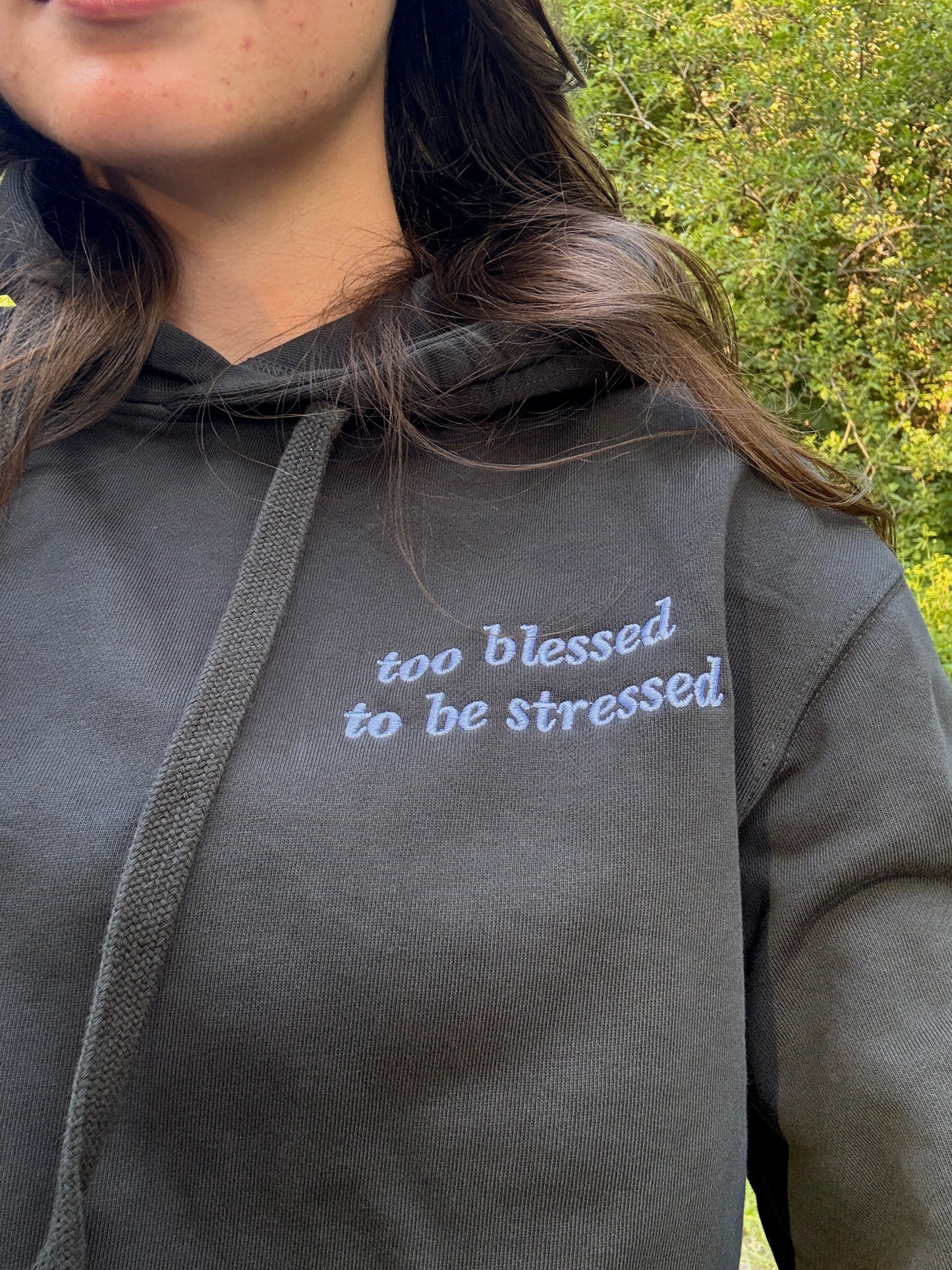 Too Blessed To be Stressed Hoodie