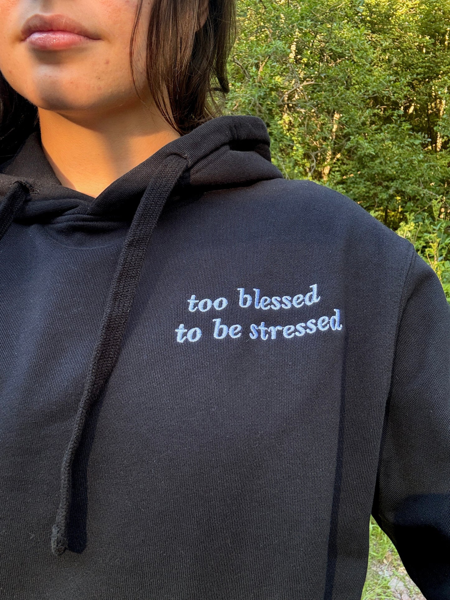 Too Blessed To be Stressed Hoodie